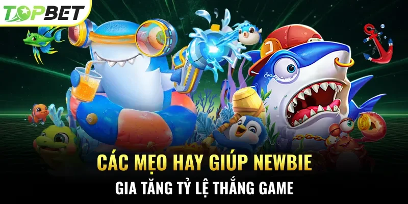 Các mẹo hay giúp newbie gia tăng tỷ lệ thắng game